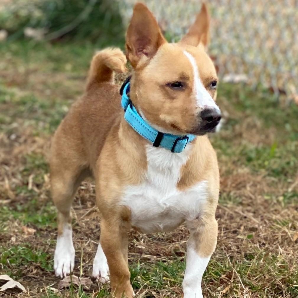 Slurpee (ID 49127/3790)