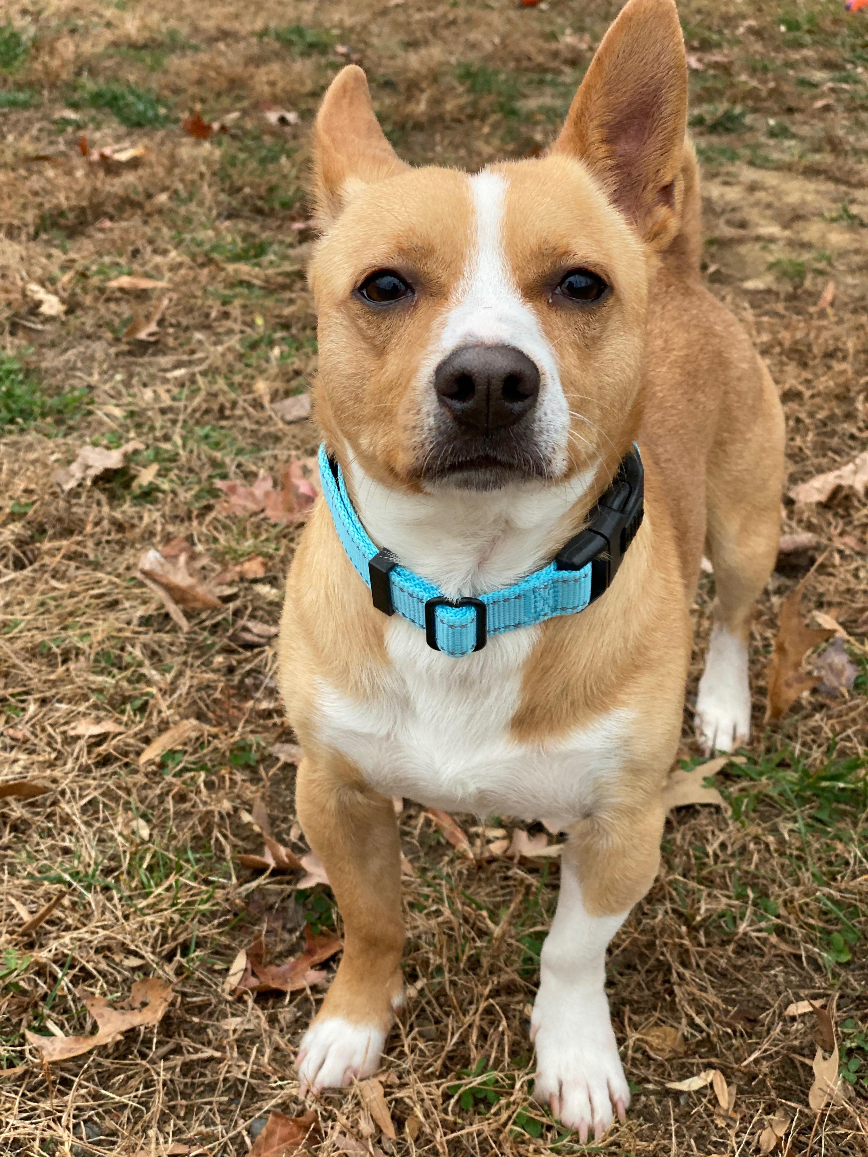 Slurpee (ID 49127/3790)