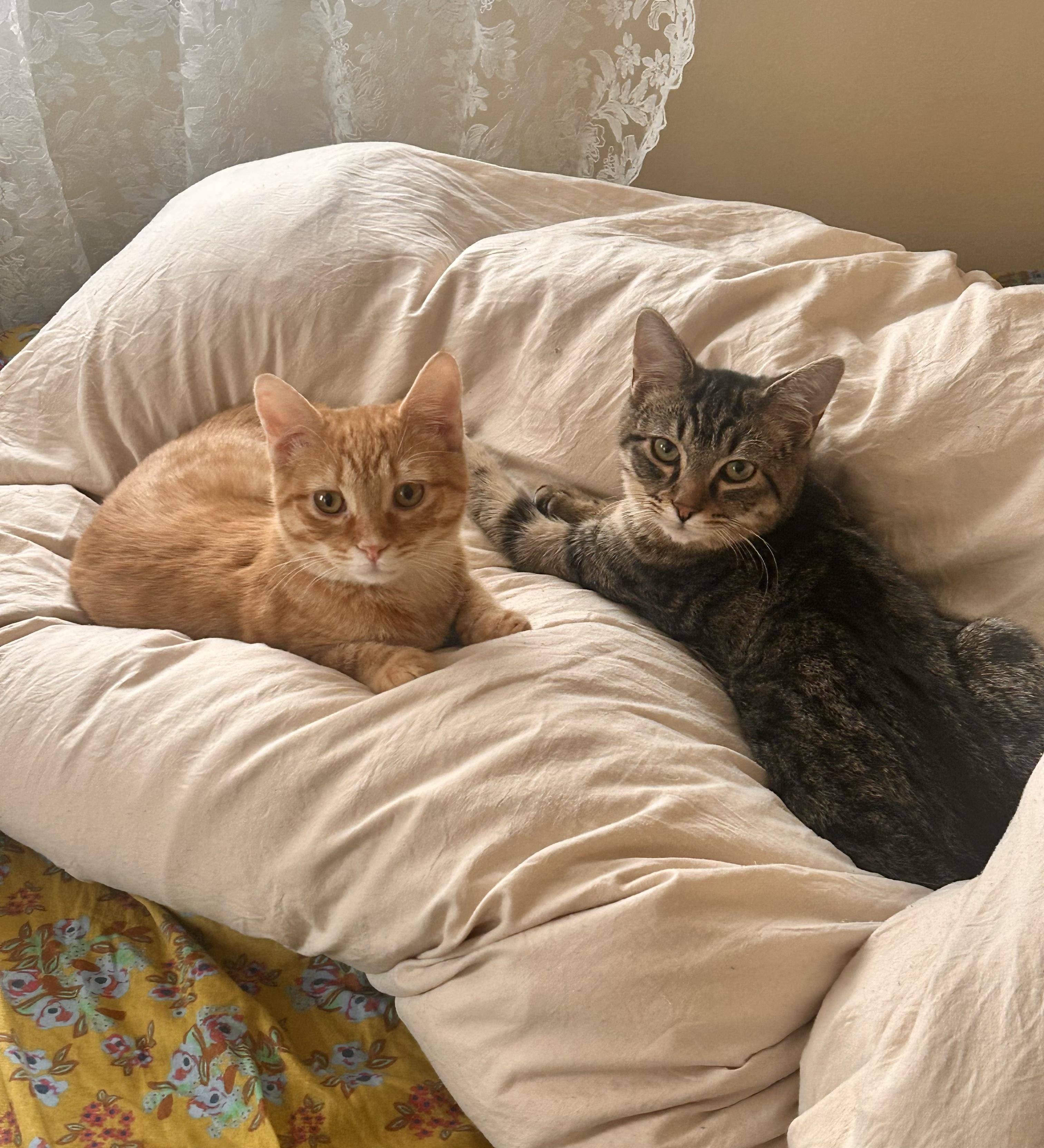 Wesley — thumbnail 4