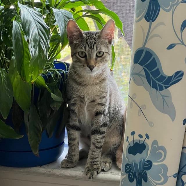 Jordan Davis — thumbnail 2