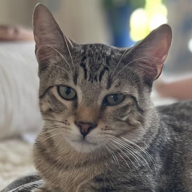 Jordan Davis — thumbnail 5