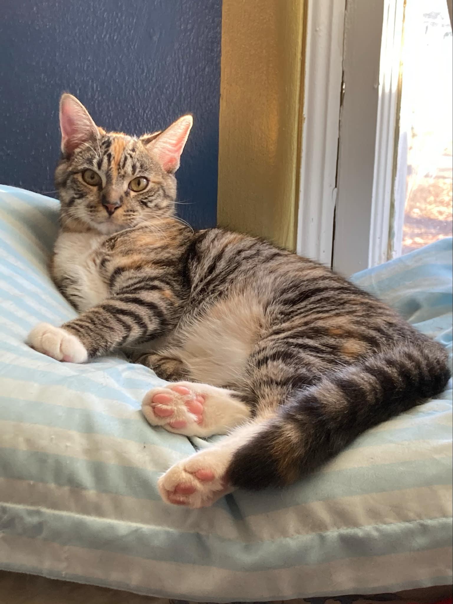Glinda