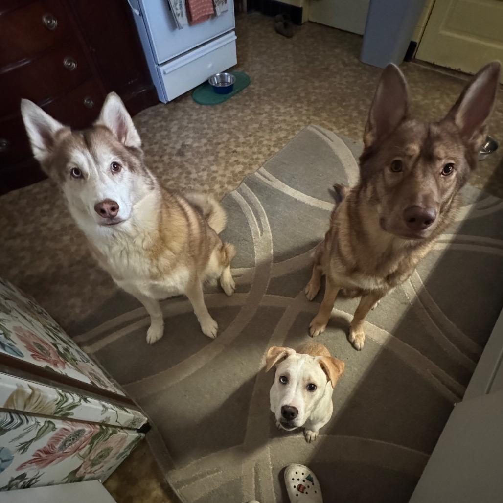 Iris — thumbnail 2