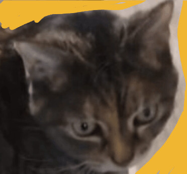 Little Bit thumbnail 2