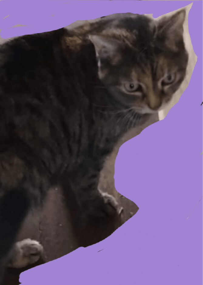 Little Bit thumbnail 3