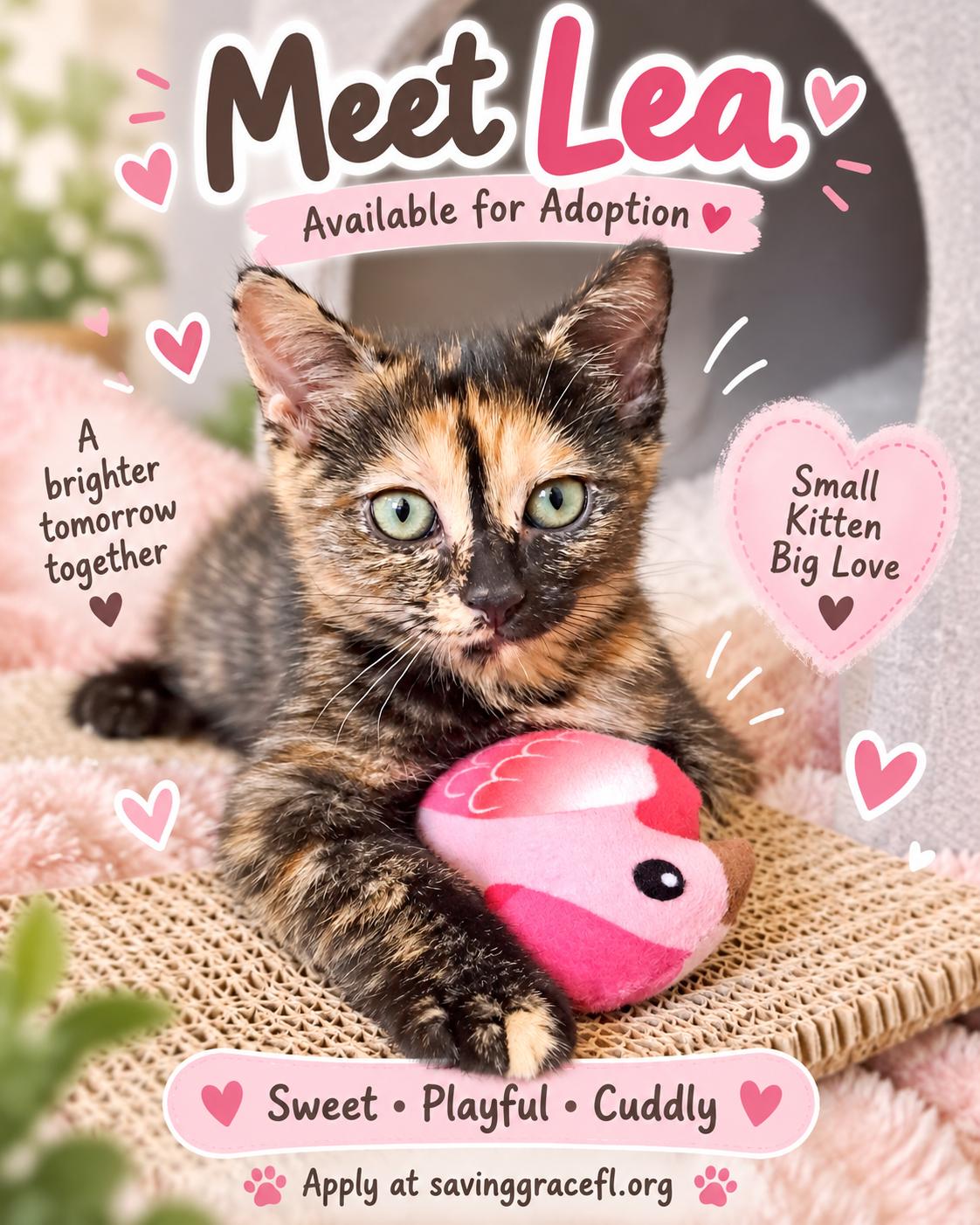 Enlarge Lea, a Adoptable Domestic Short Hair in Los Angeles, CA image 1/4