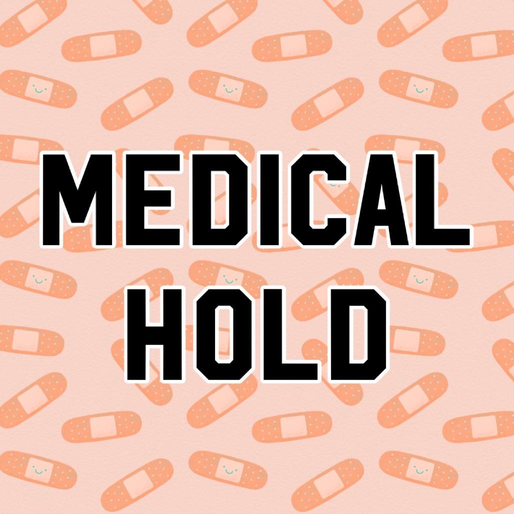 Fianna, Adoptable, Senior Female Mixed Breed.