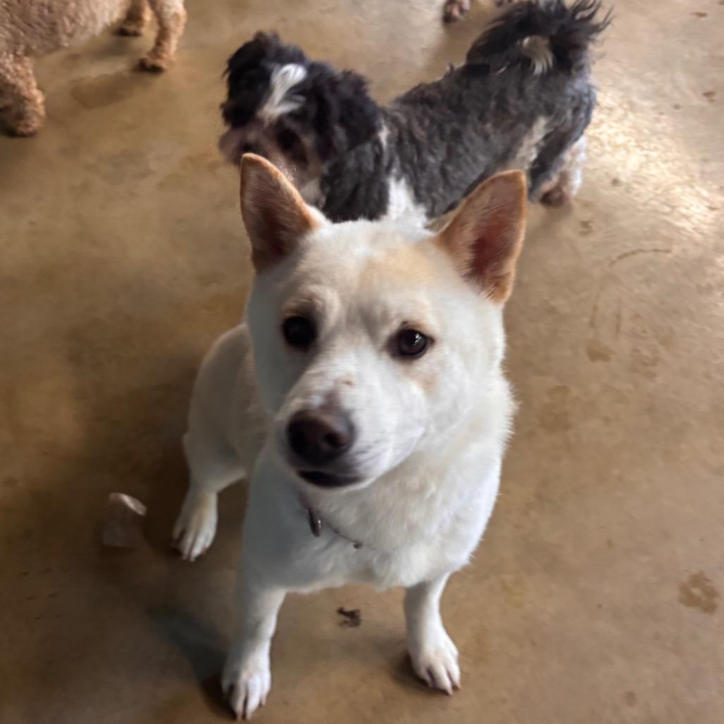 Kintsugi thumbnail 4