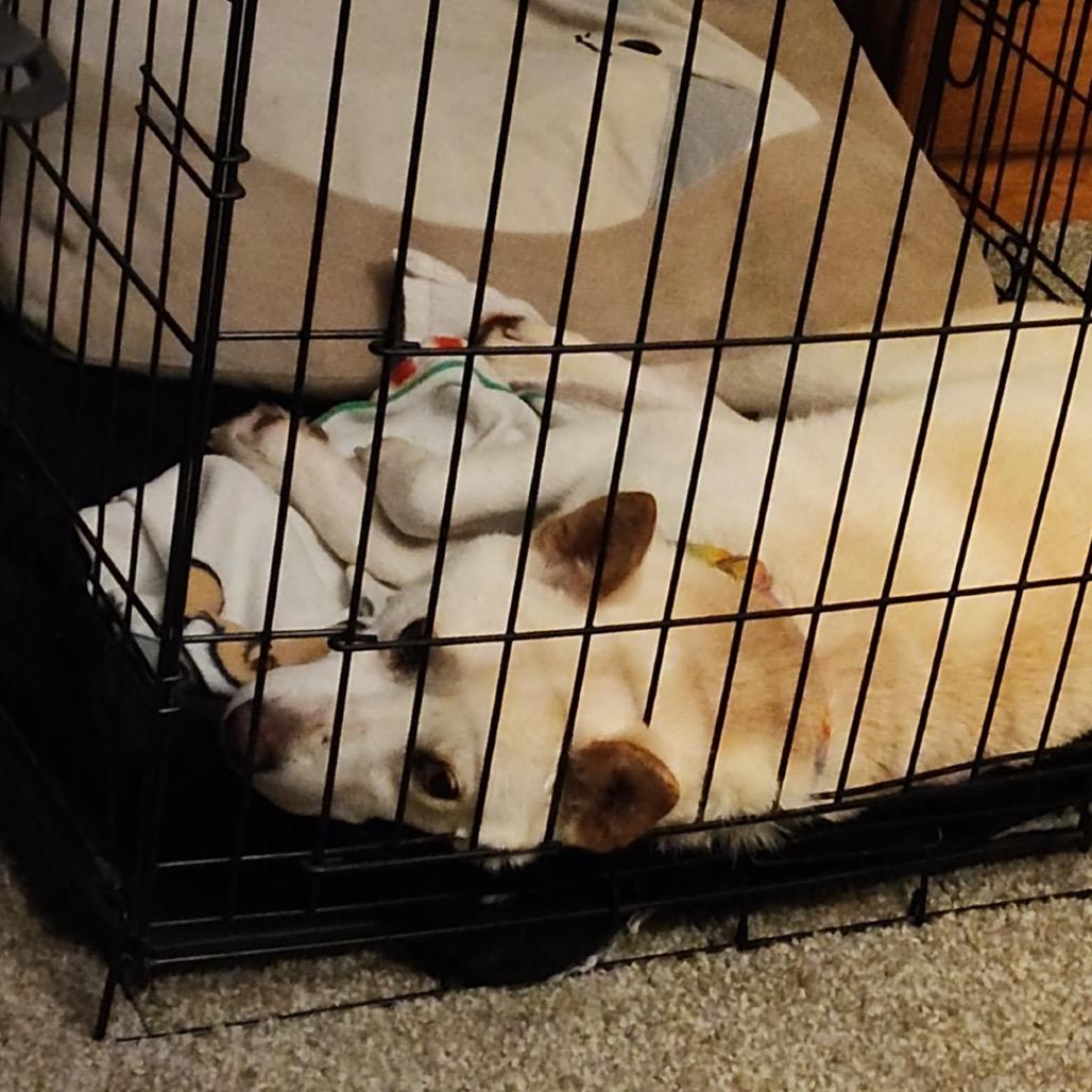 Kintsugi thumbnail 5