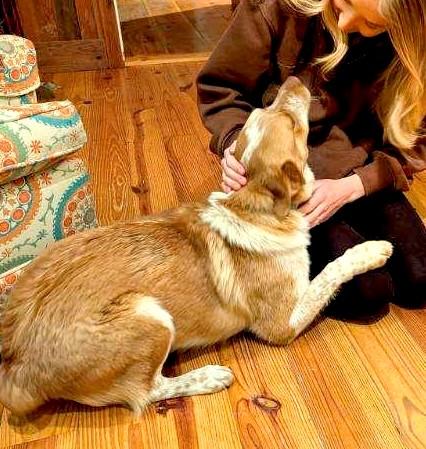 Buddy — thumbnail 2