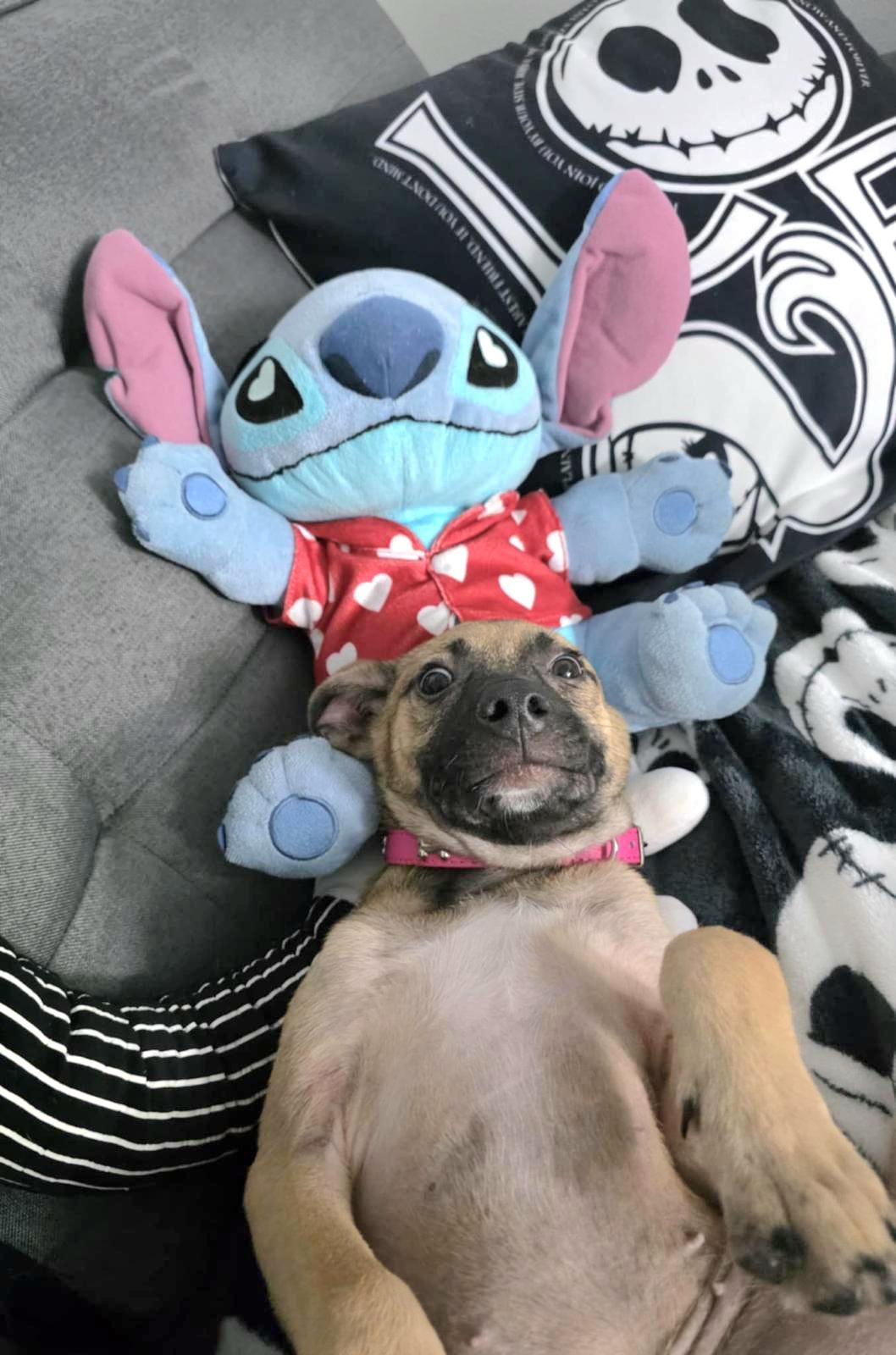 Zaphira "miss Cutie Pie!" thumbnail 5