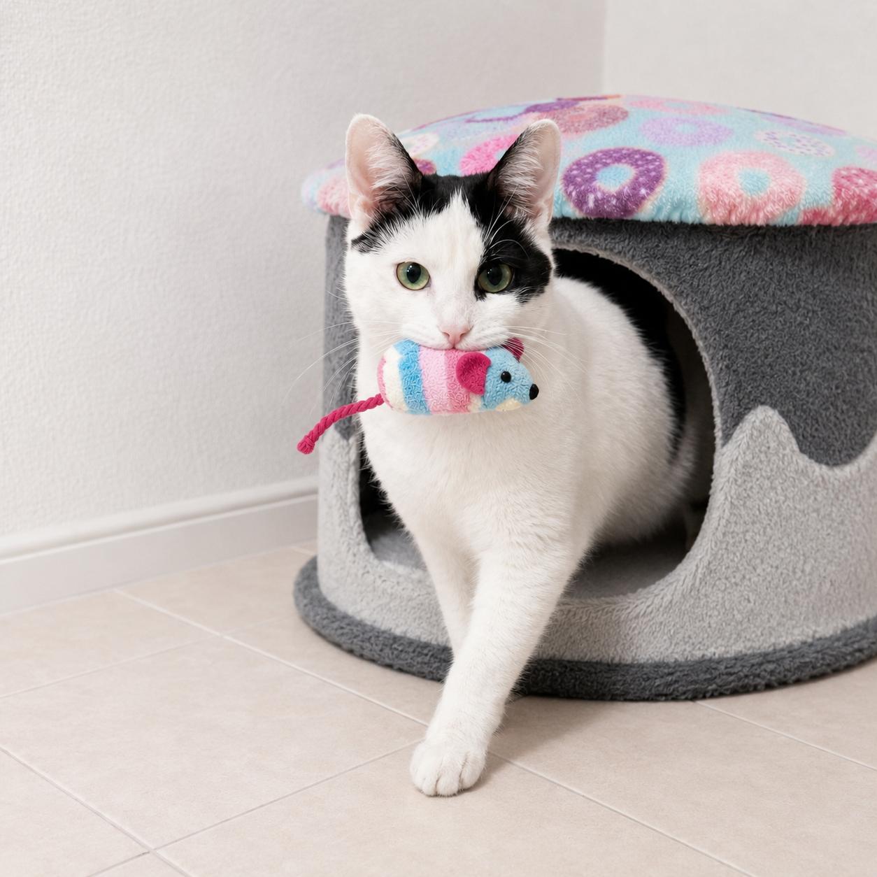 Lu'lemon, a Adoptable mixed breed in Hillsboro, TX image 5/6