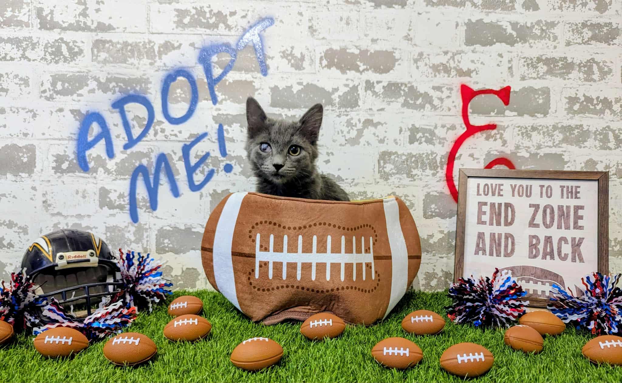 Ms. Smokey Sprinkles