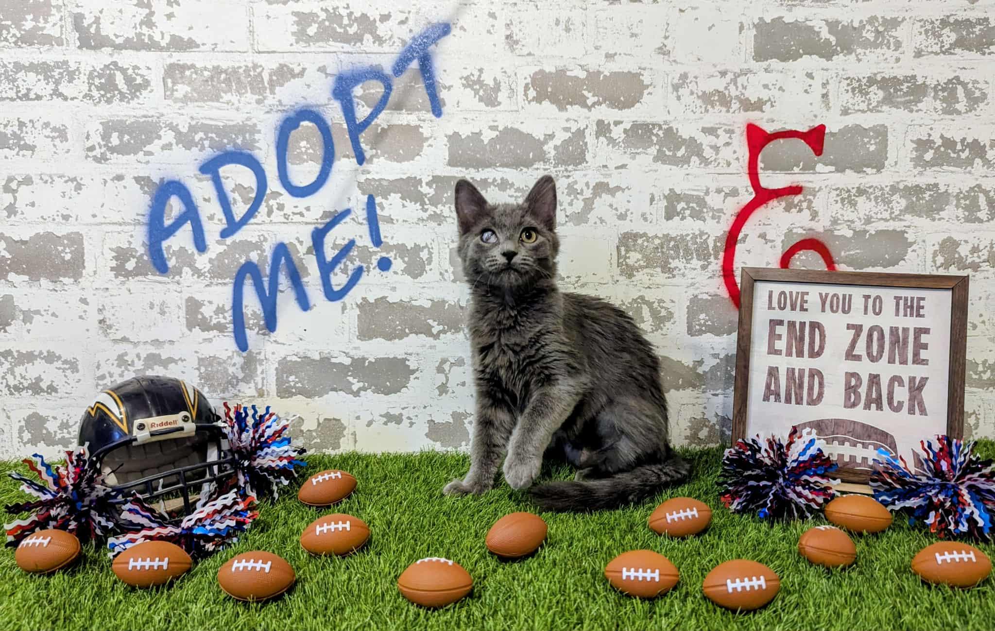 Ms. Smokey Sprinkles