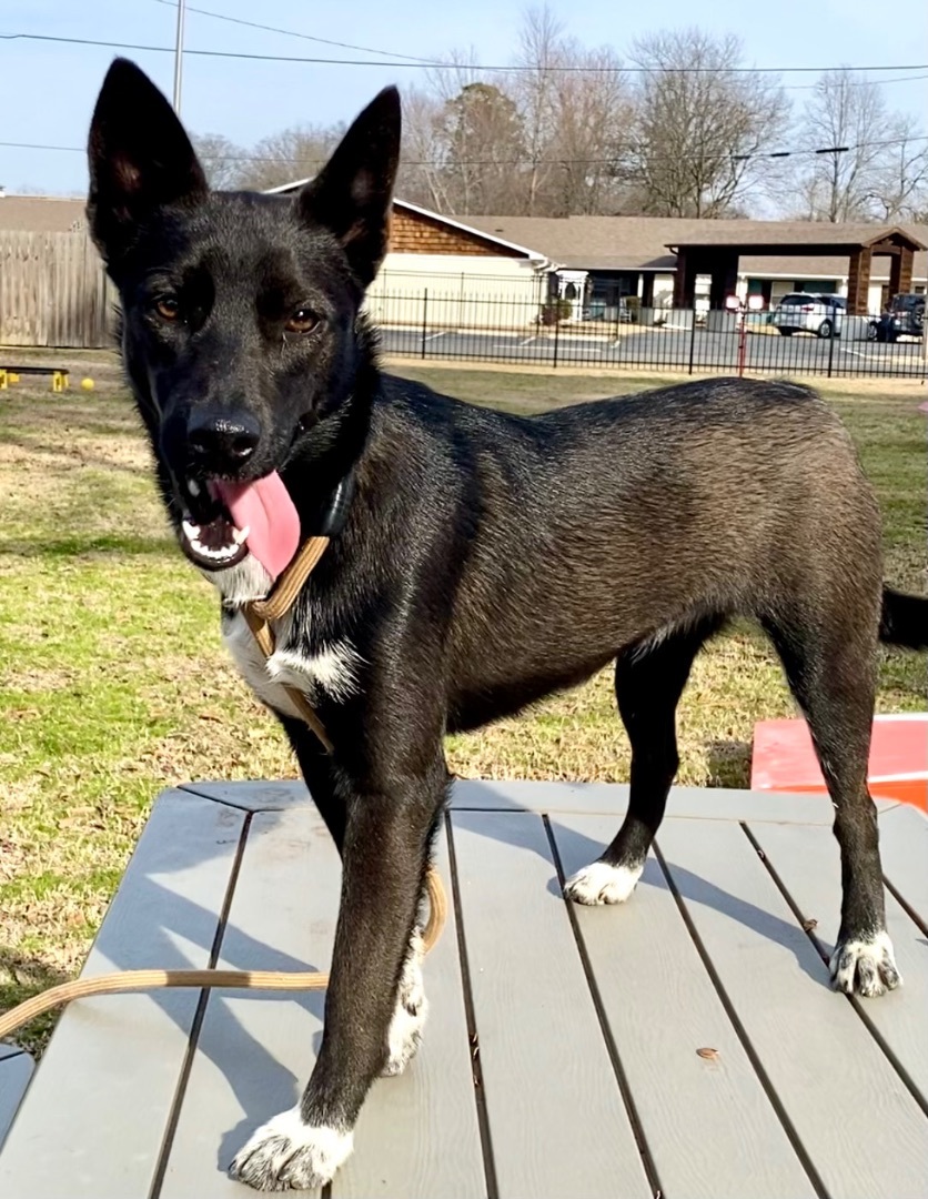 Georgia
