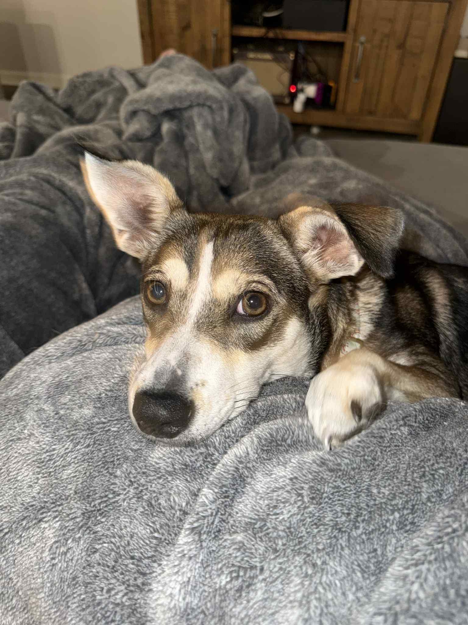 Pip