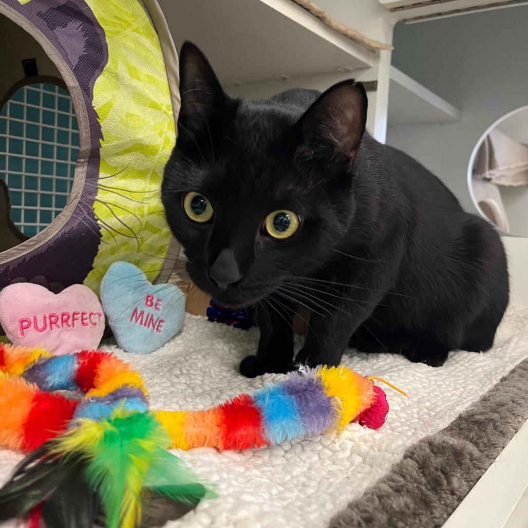 Francesco — thumbnail 2