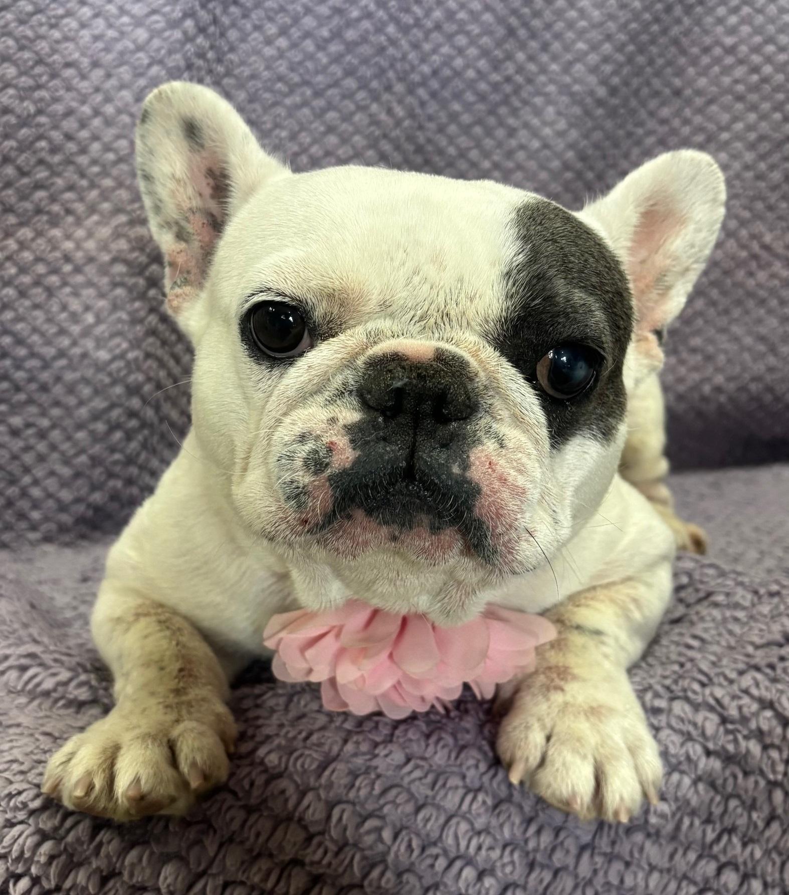 Sweetie