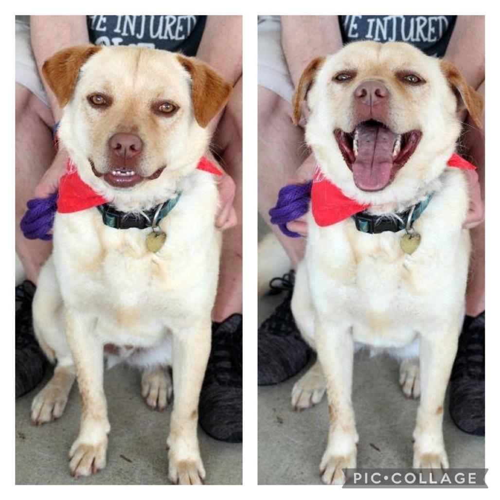 Winkle — thumbnail 2