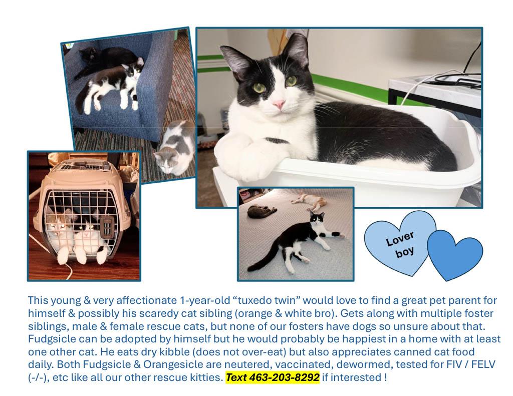 Fudgsicle thumbnail 2