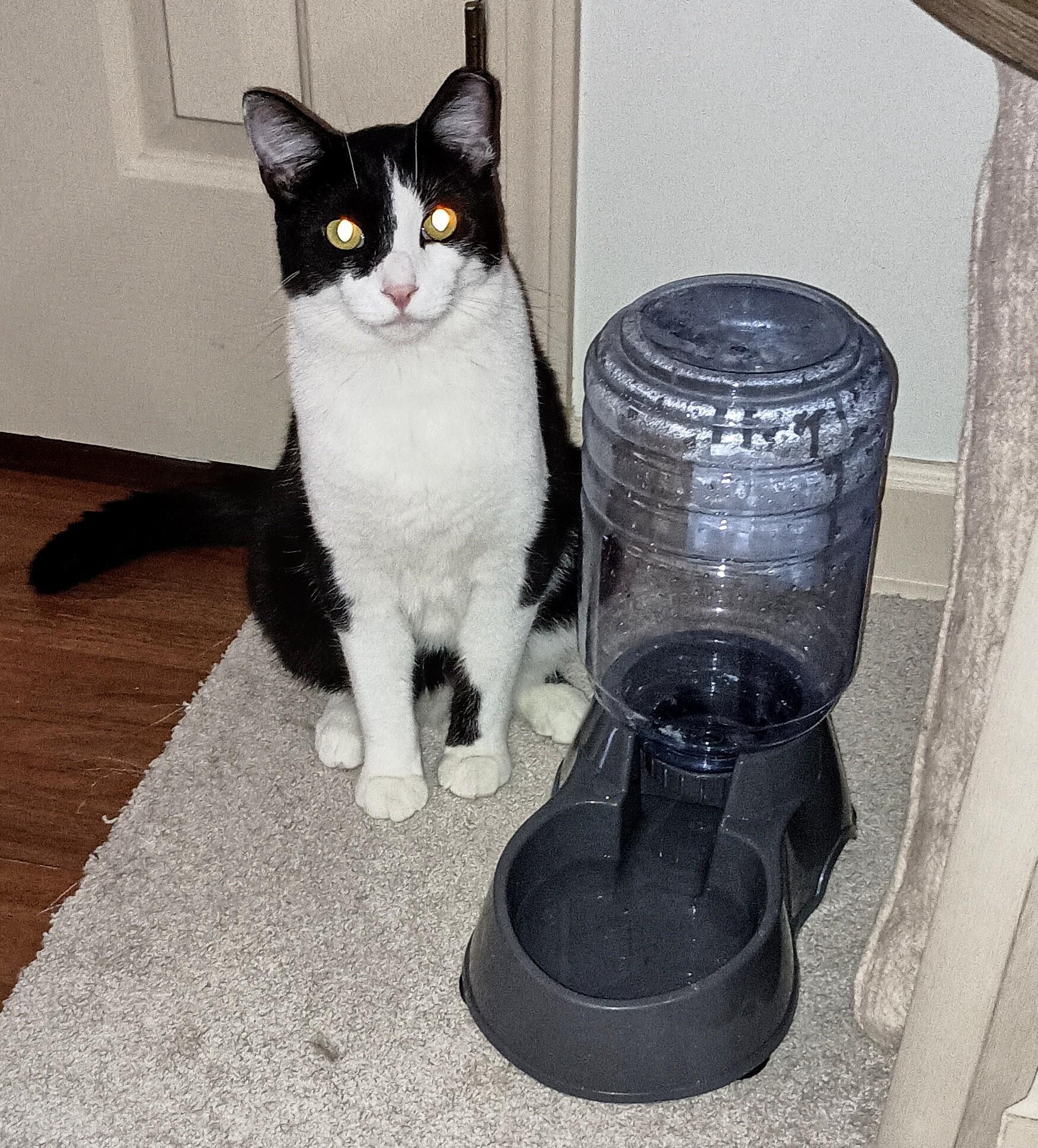 Fudgsicle thumbnail 5