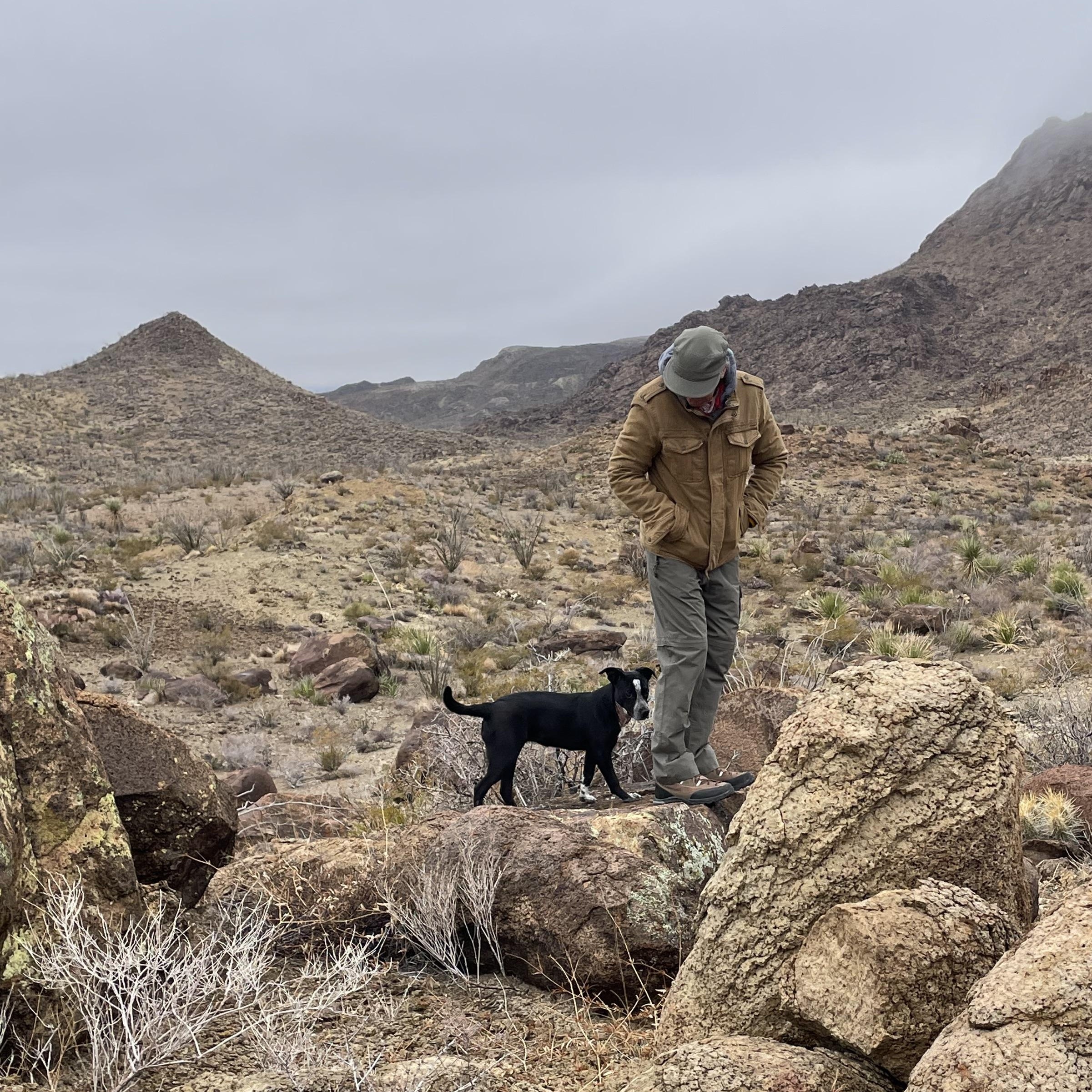 Enlarge Pinto, a ADOPTABLE mixed breed in Marfa, TX image 3/5