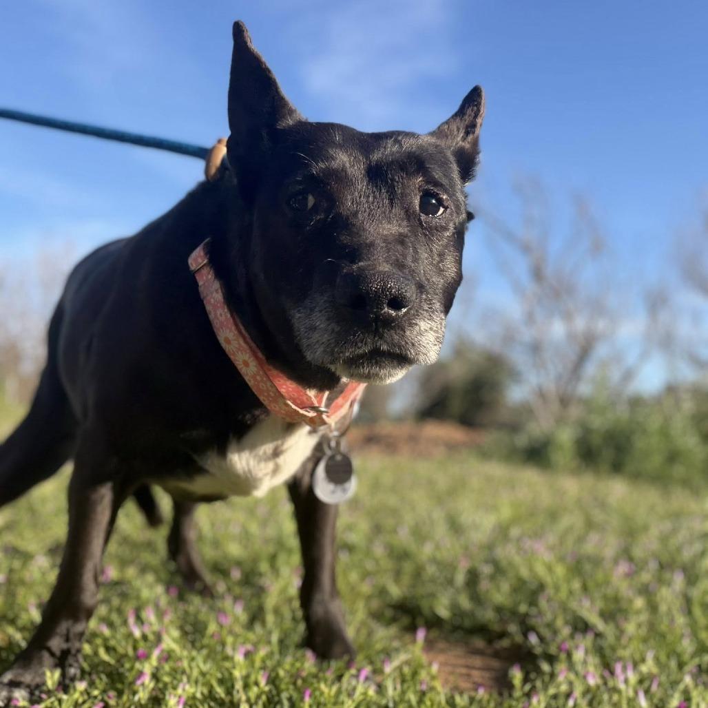 Tutti — thumbnail 2