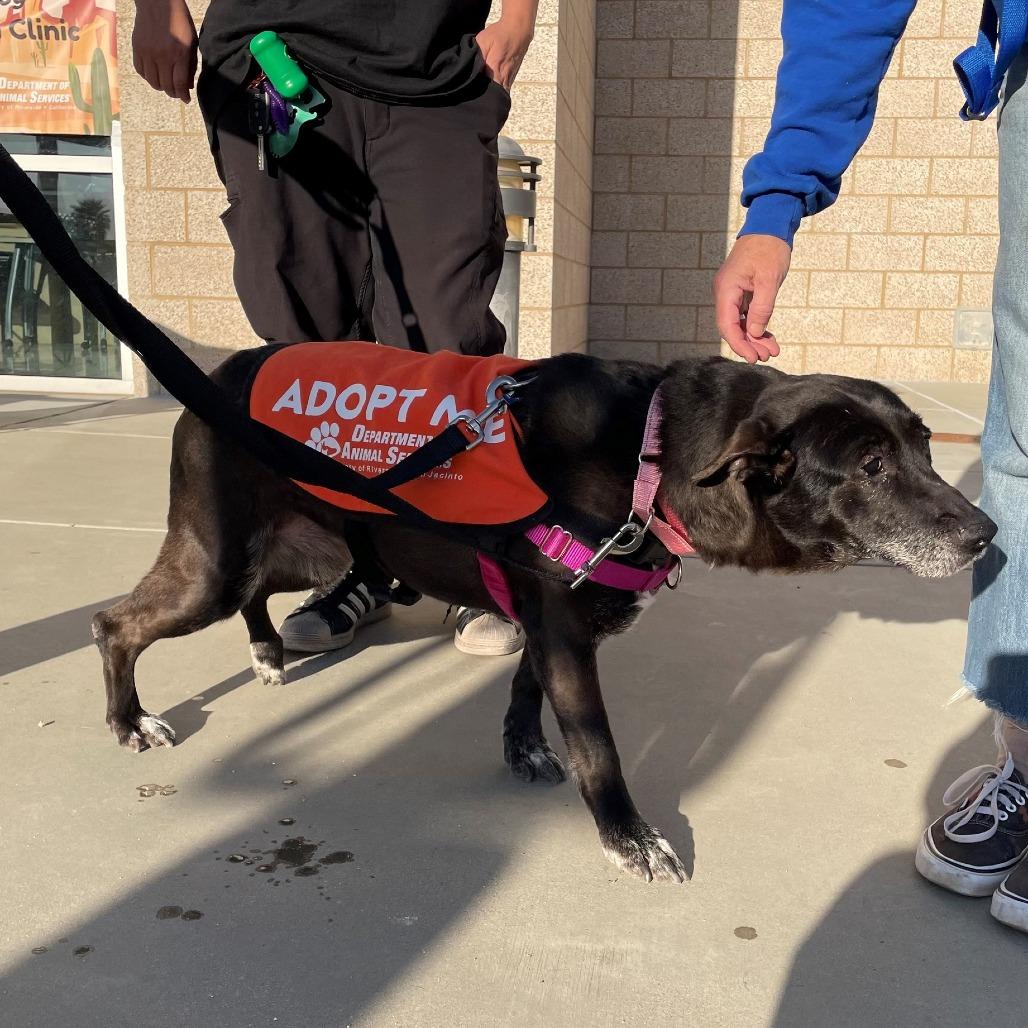 Tutti — thumbnail 3