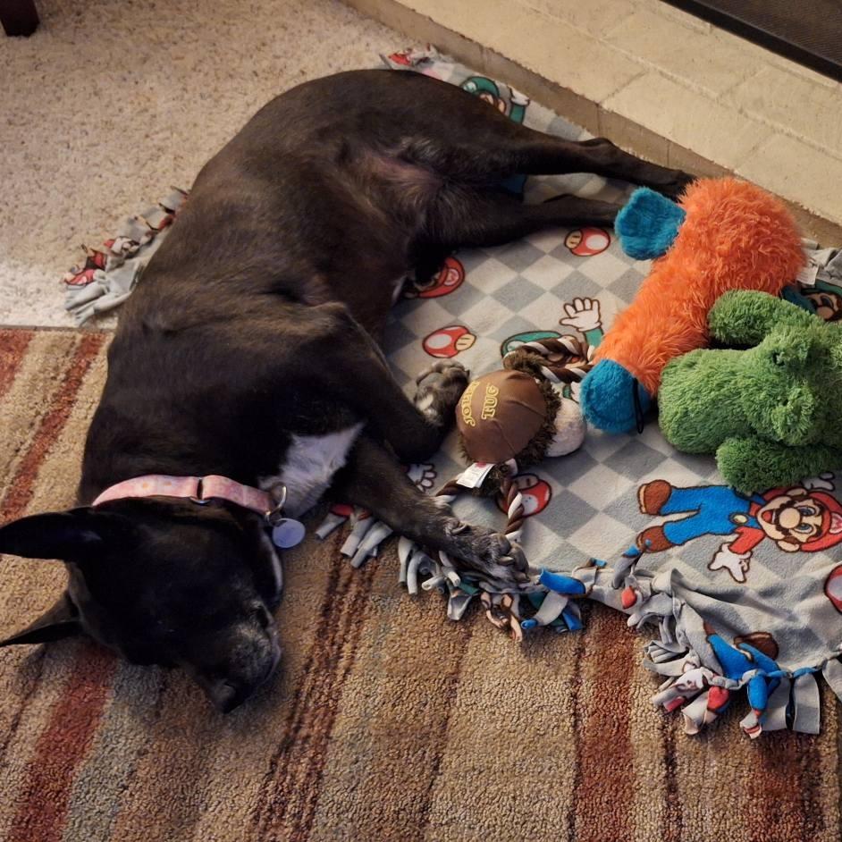 Tutti — thumbnail 4