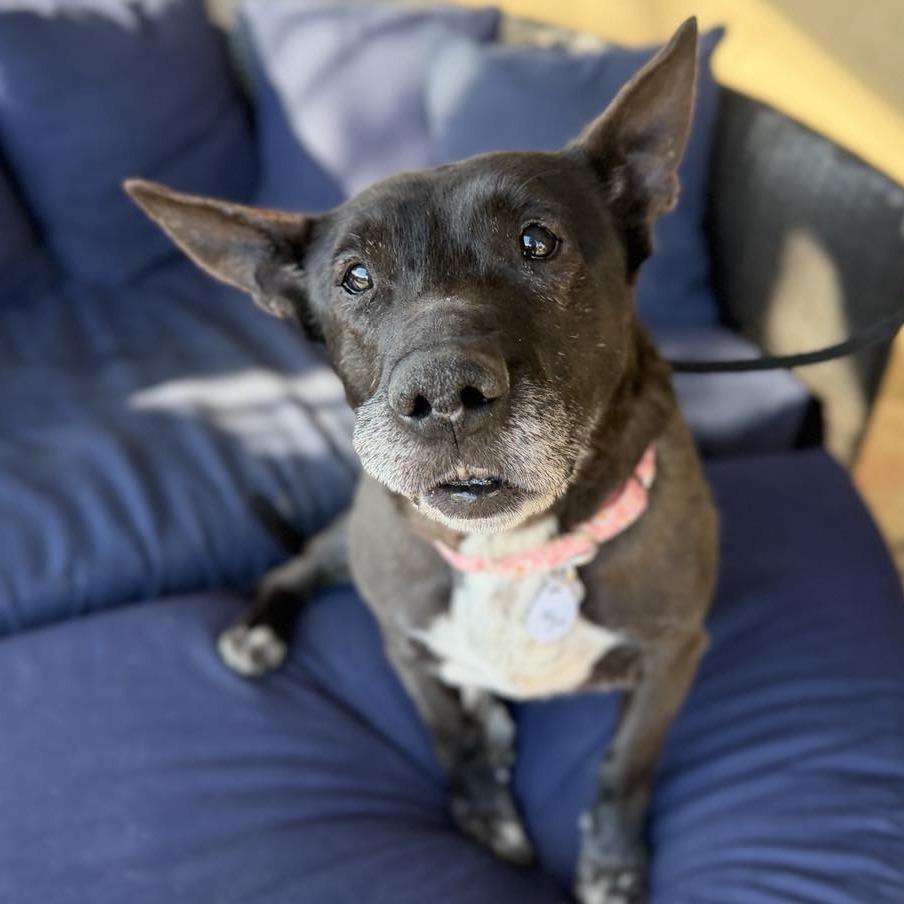 Tutti — thumbnail 5