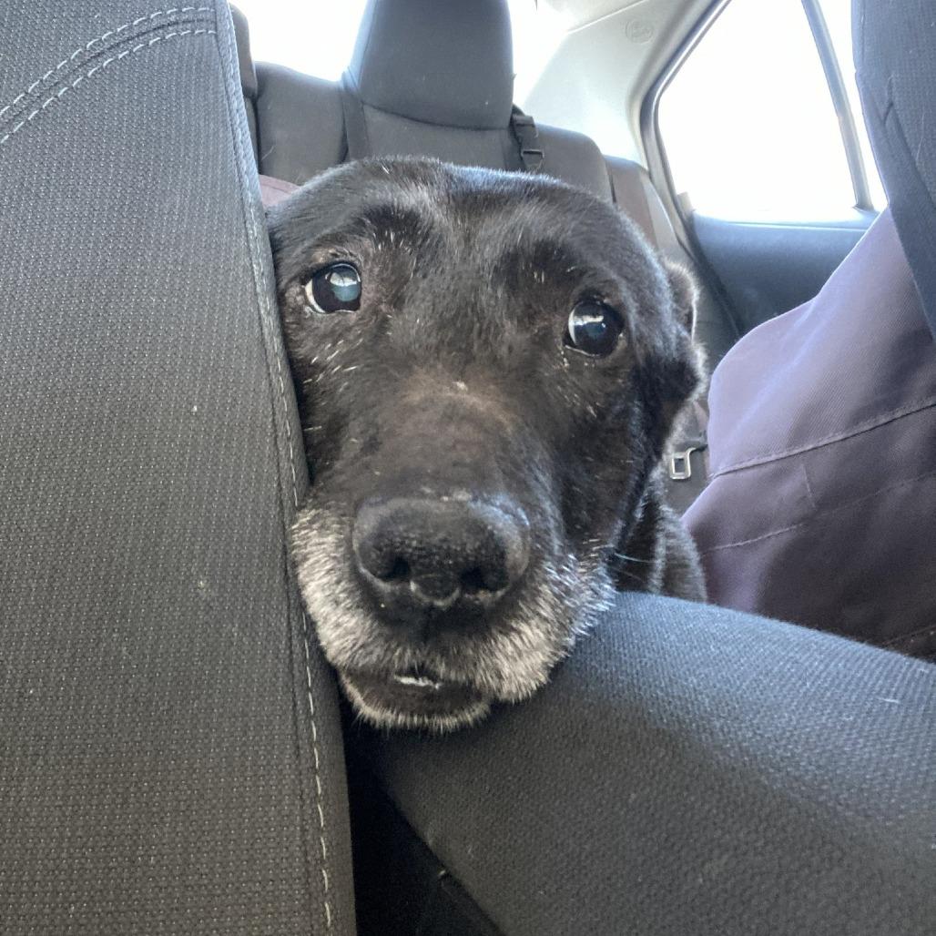 Tutti — thumbnail 6