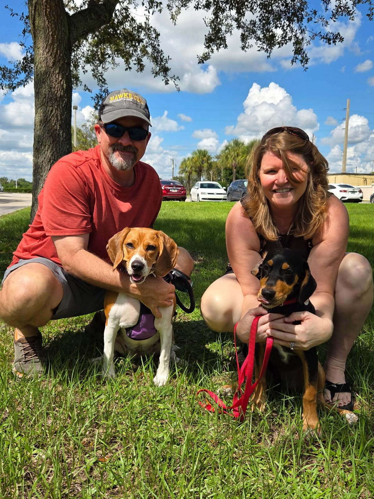 Charm's Puppy - Magic, Adopted, Puppy Female Beagle.