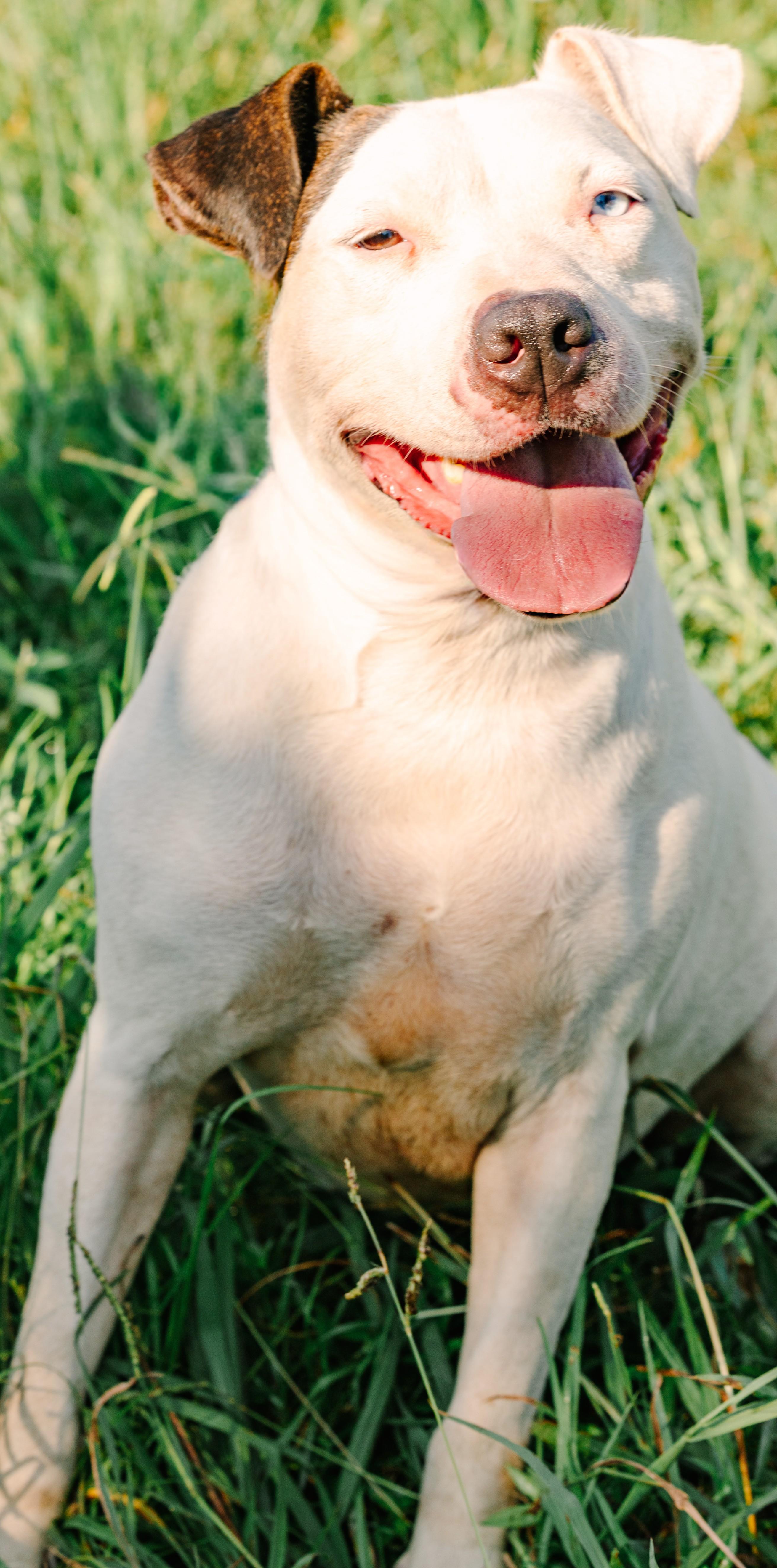 Crytstal thumbnail 2