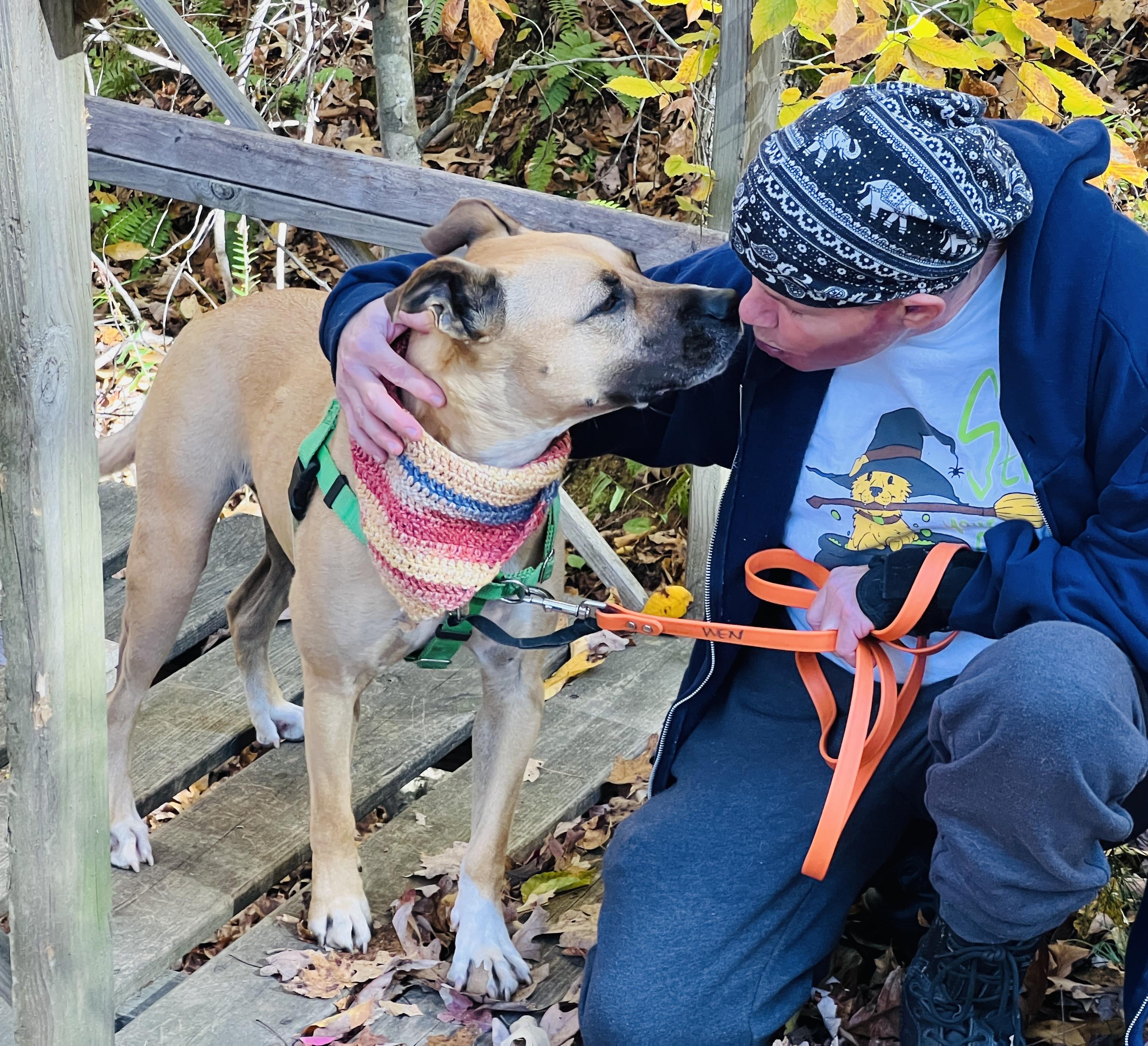 Alfalfa, an adoptable Shepherd in Palmyra, VA, 22963 | Photo Image 6