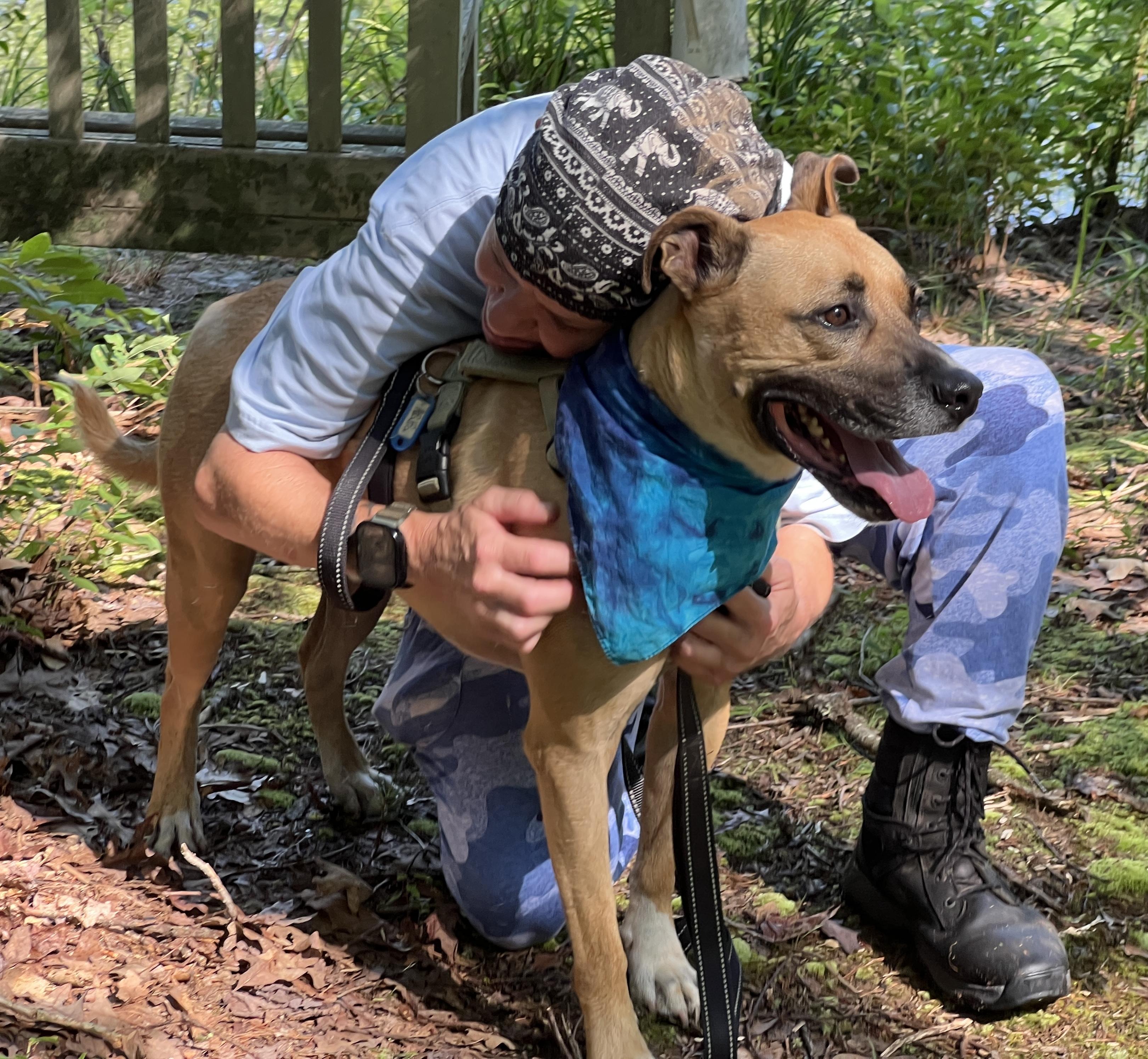 Alfalfa, an adoptable Shepherd in Palmyra, VA, 22963 | Photo Image 5