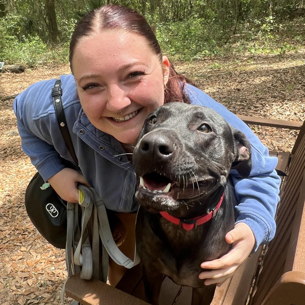 Enlarge Terry, a Adoptable Mixed Breed in Jacksonville, FL image 3/6