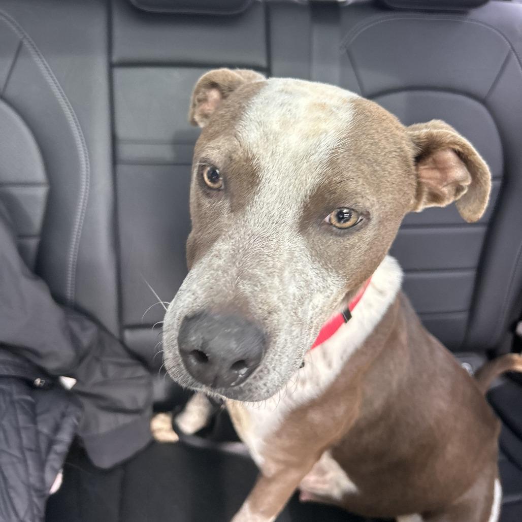 Kaliha — thumbnail 5