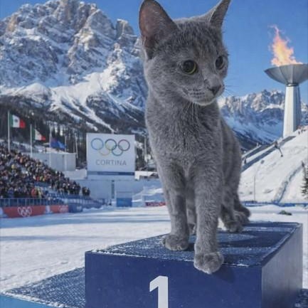 CORTINA - FFPR, ADOPTABLE, Kitten Female Russian Blue.