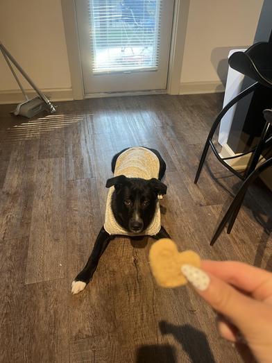 Richie — thumbnail 4