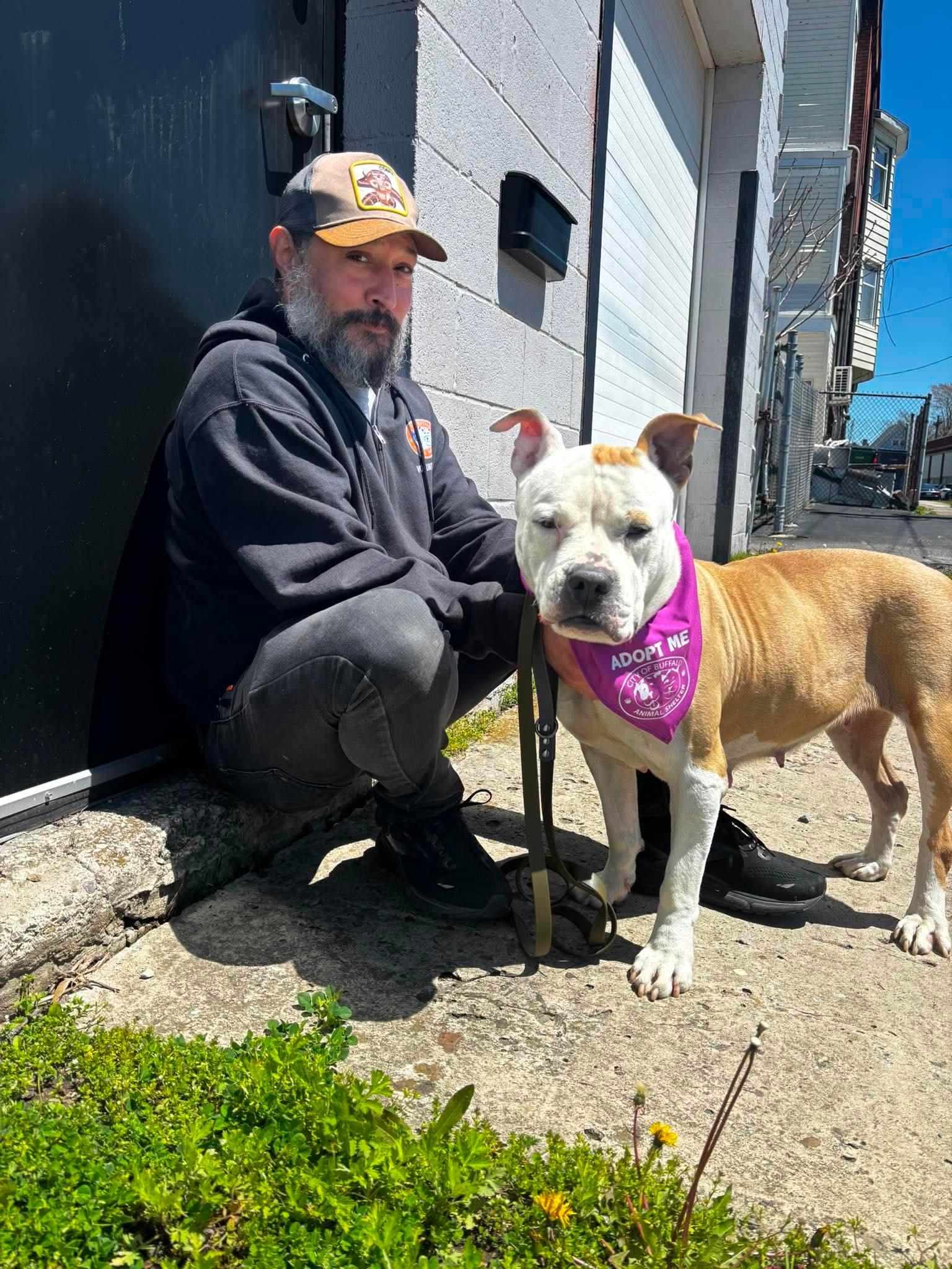 Sasha, a ADOPTABLE mixed breed in Buffalo, NY image 4/6