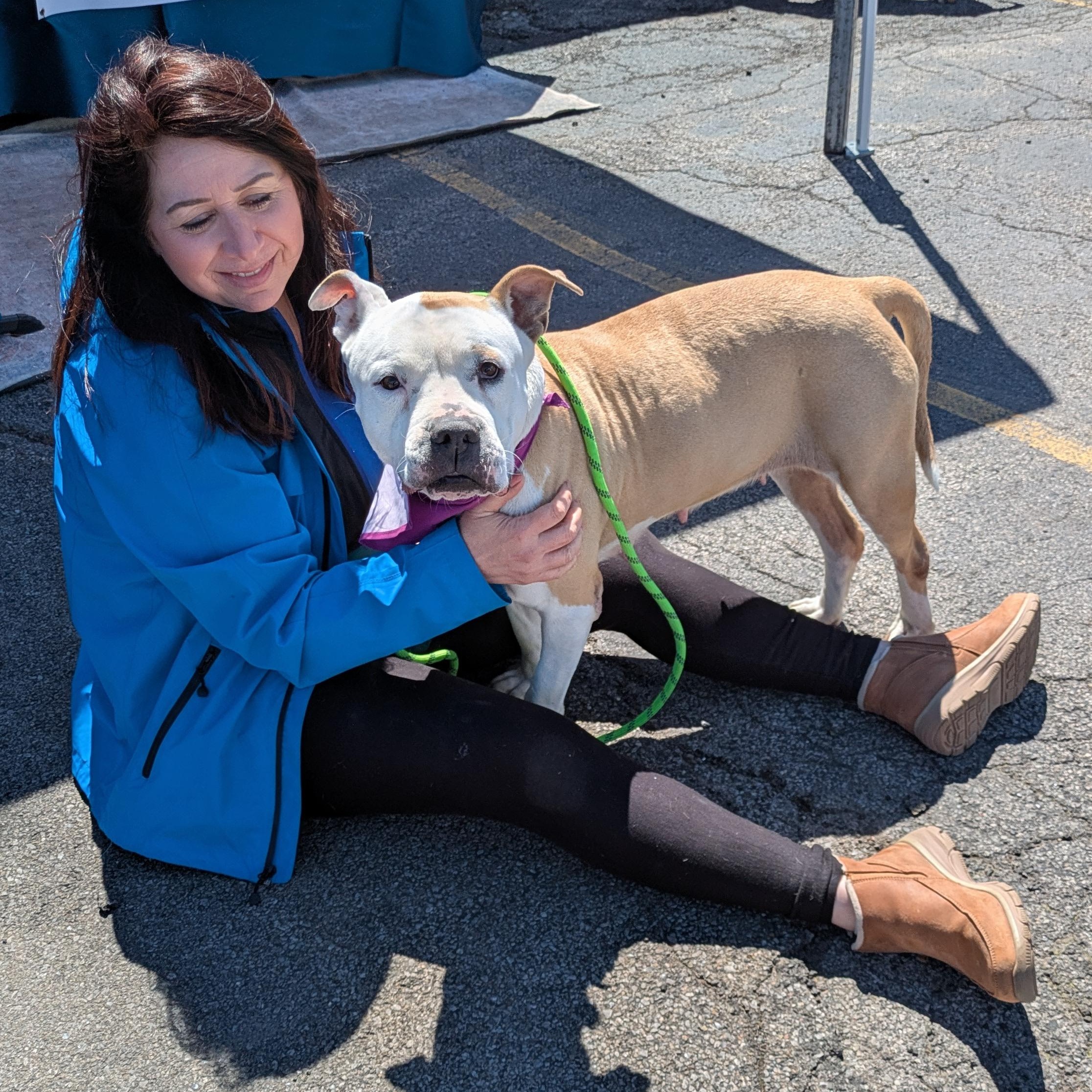 Sasha, a ADOPTABLE mixed breed in Buffalo, NY image 2/6