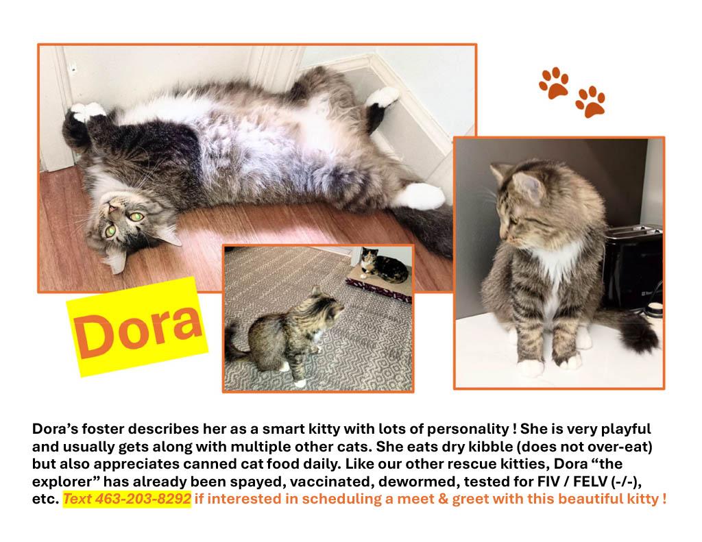 DORA photo 2