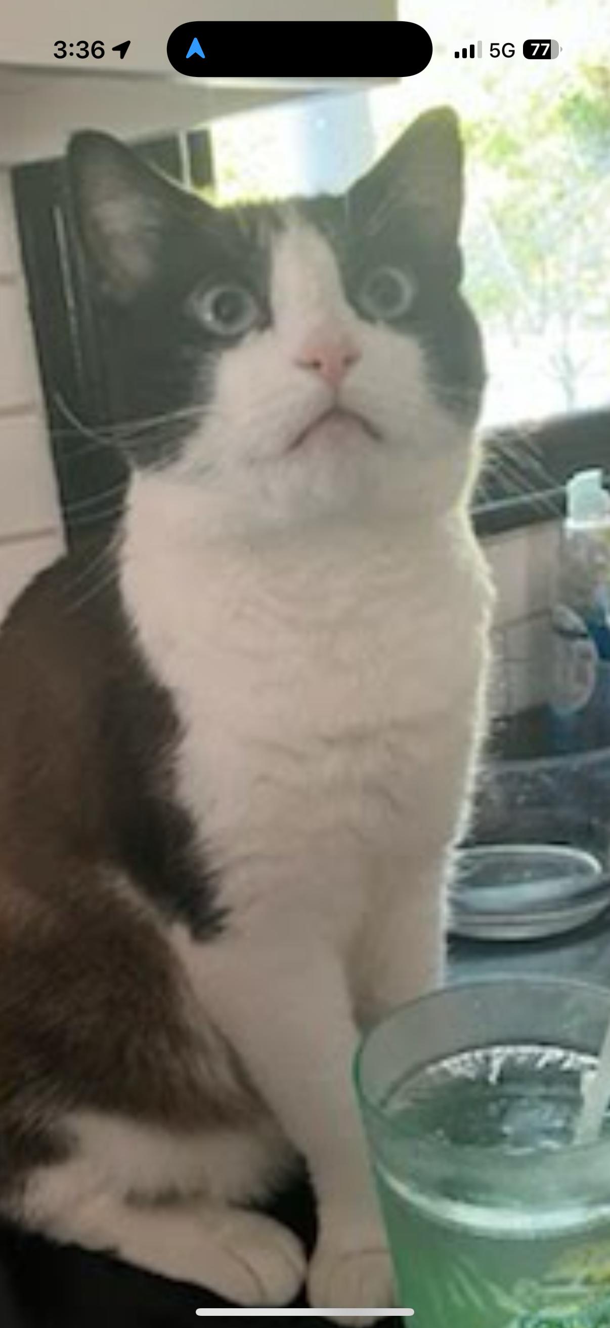 Tonka Amazing Boy! thumbnail 2