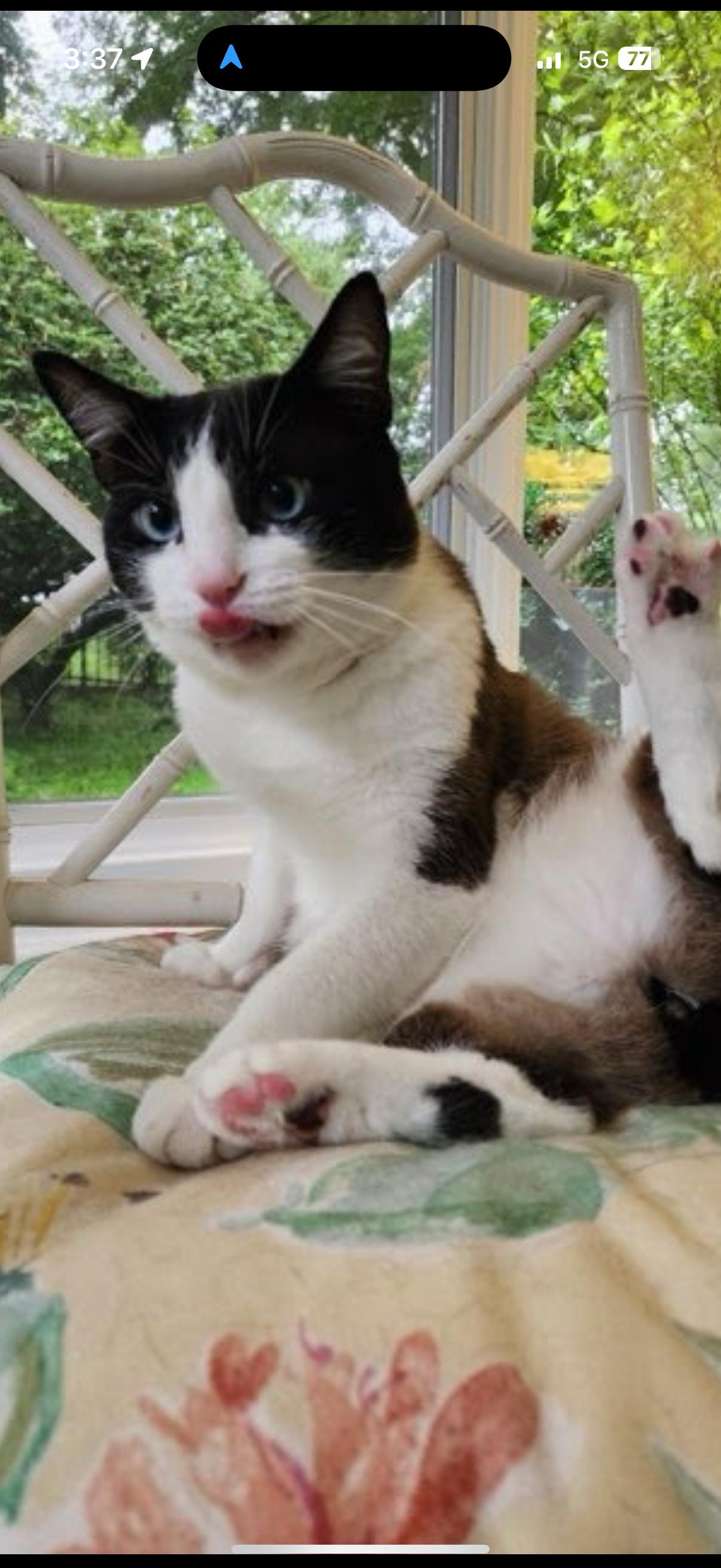 Tonka Amazing Boy! thumbnail 4