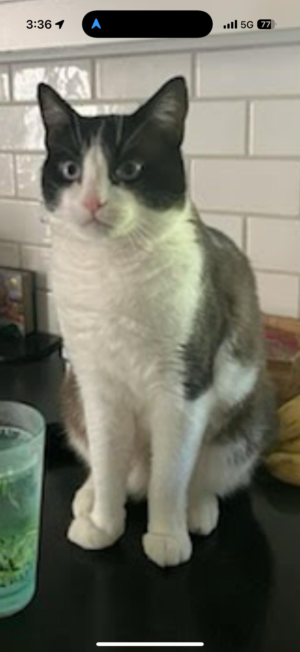 Tonka Amazing Boy! thumbnail 5