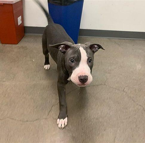 Haberno — thumbnail 2