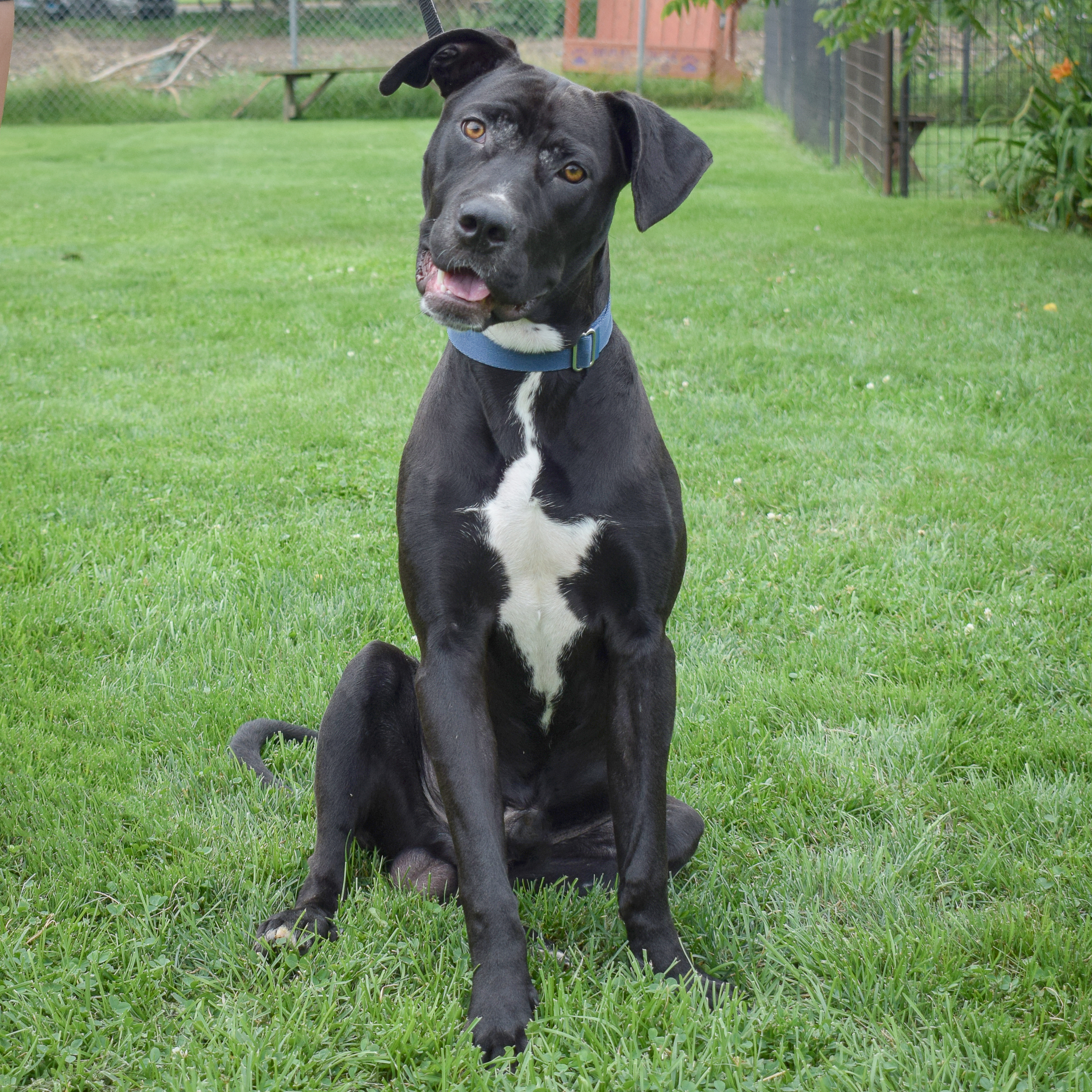 Duncan photo 3