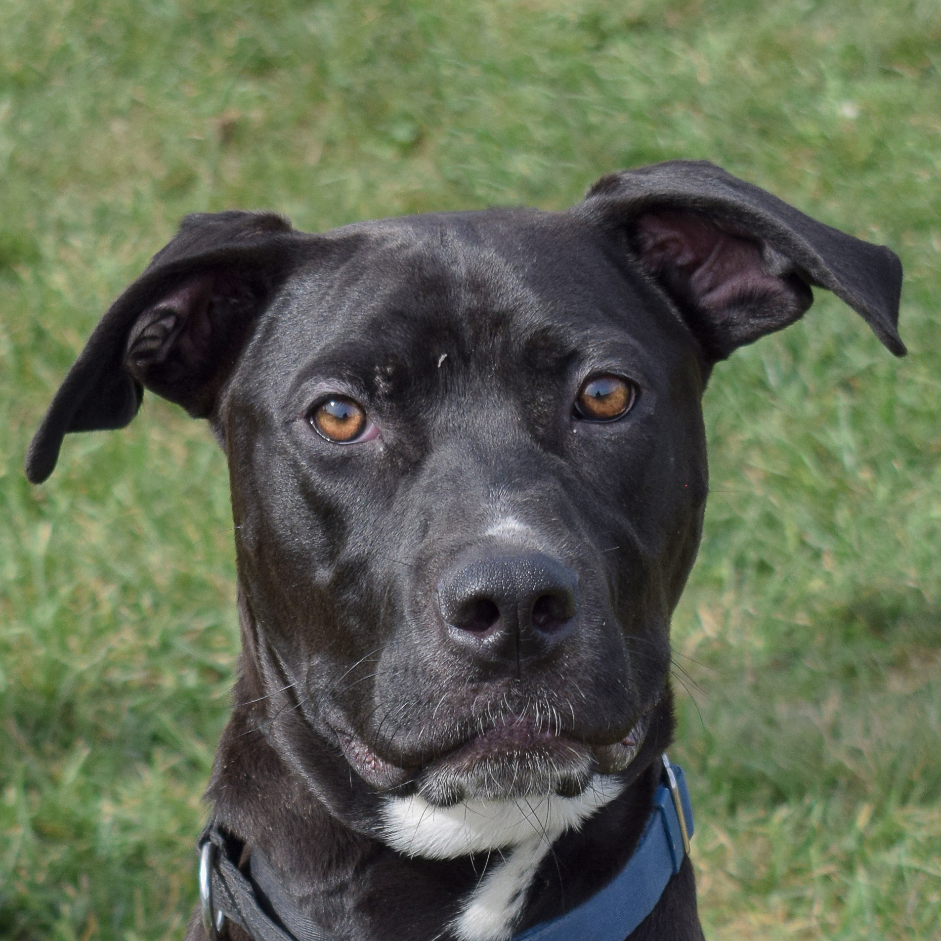 Duncan photo 1