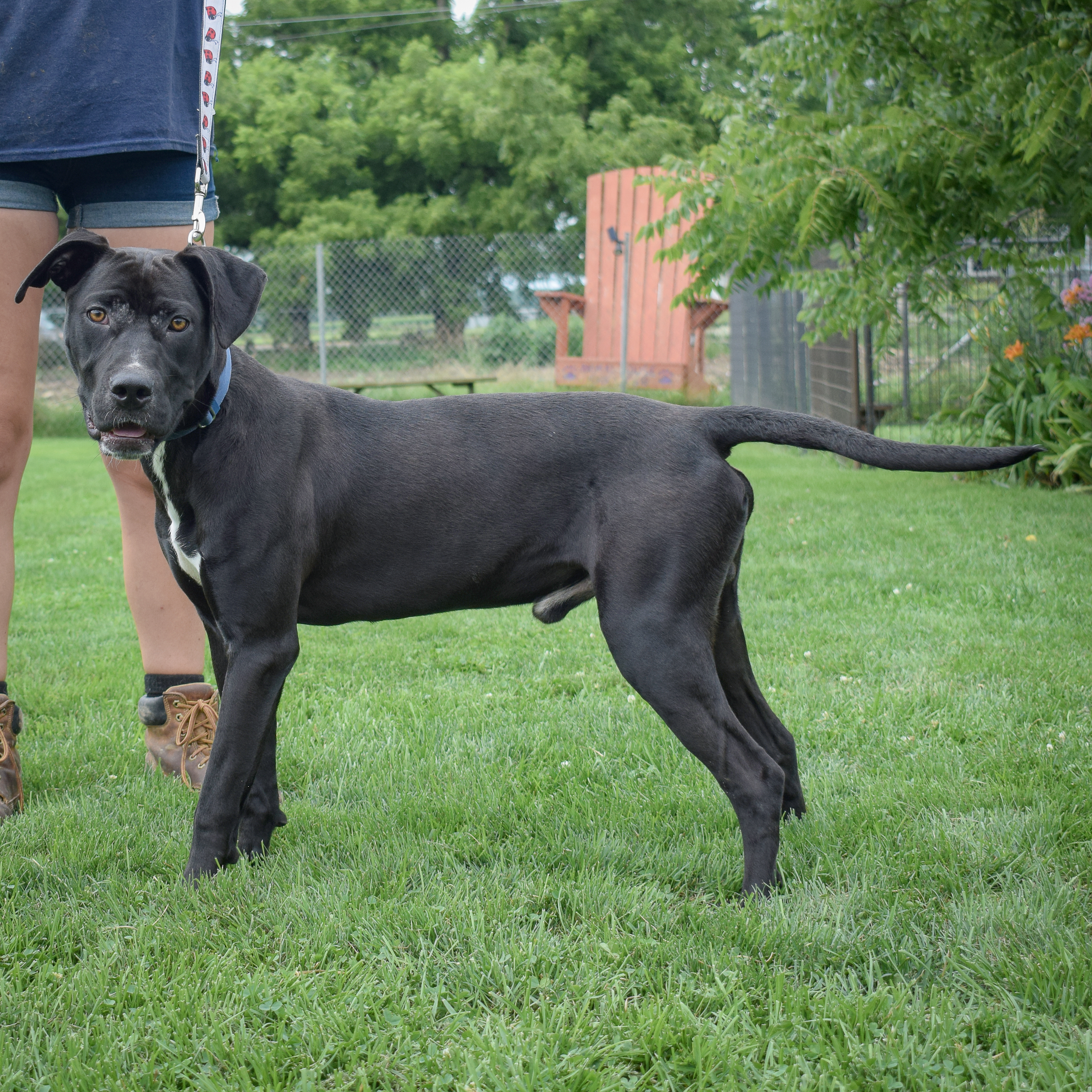 Duncan photo 2