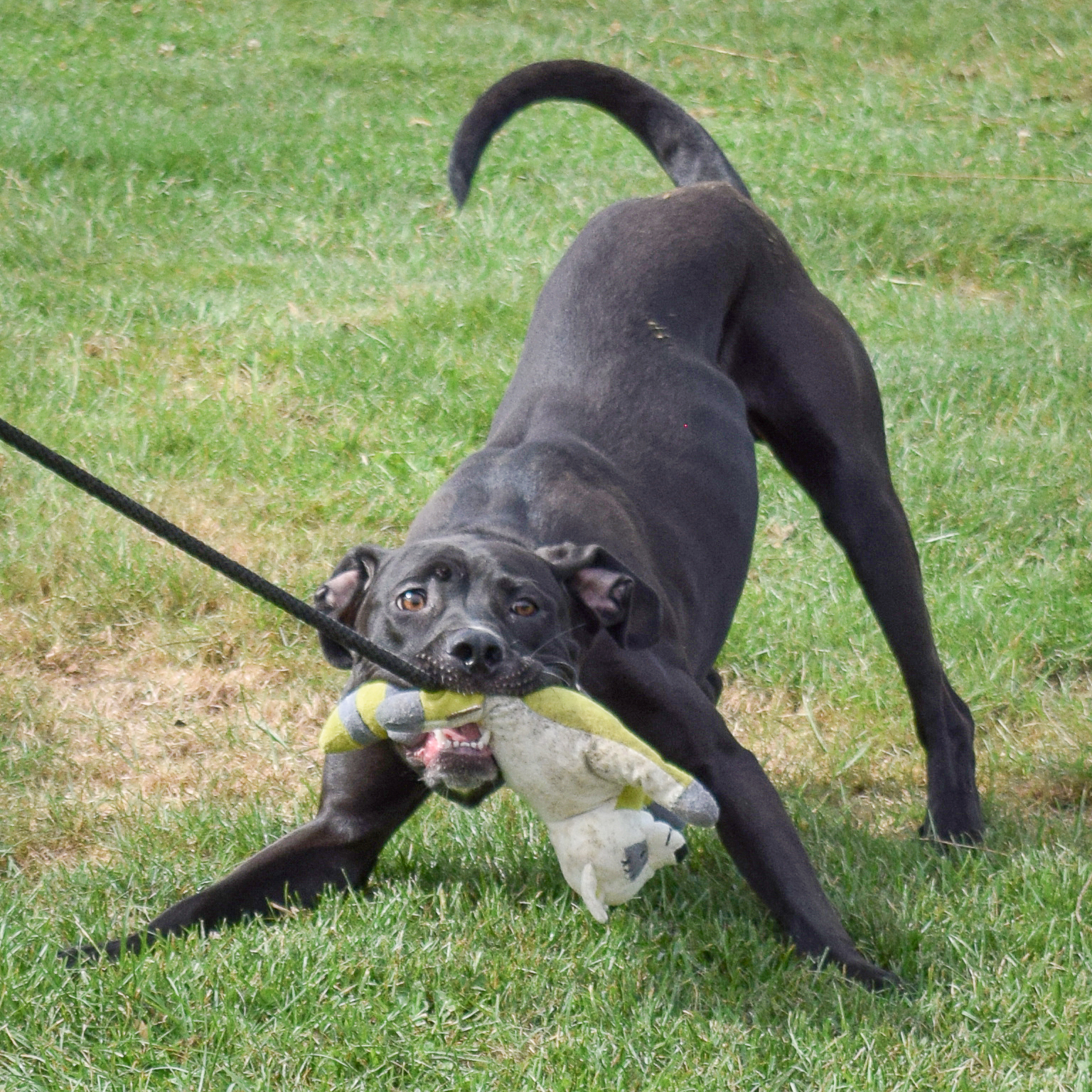 Duncan photo 5